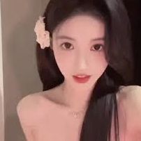 公司介绍